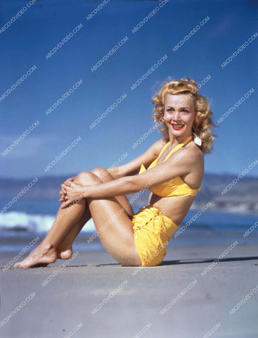 Carole Landis in her new bikini sitting on the beach 8b20-17088