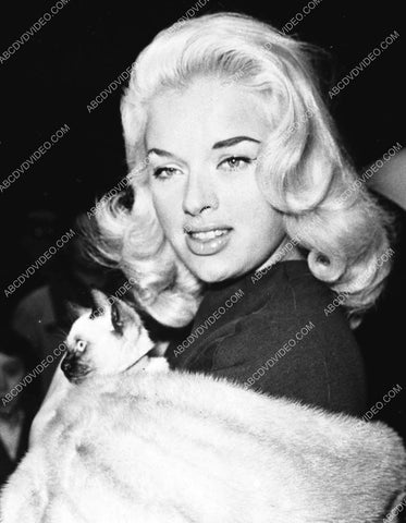 Diana Dors w her cat 8b20-17315