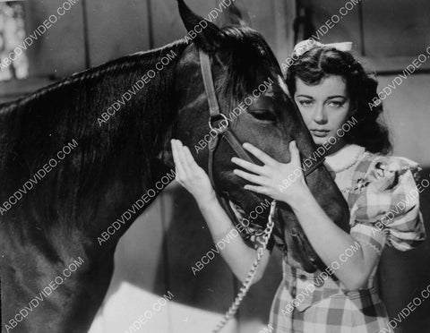 Gail Russell and a horse unknown film 8b20-17413