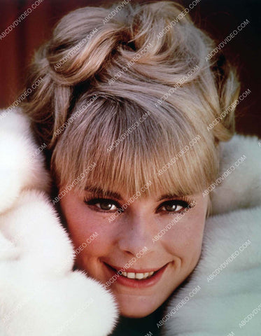 great Elke Sommer portrait 8b20-17482