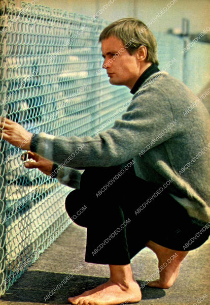 David McCallum 8b20-17504 – ABCDVDVIDEO