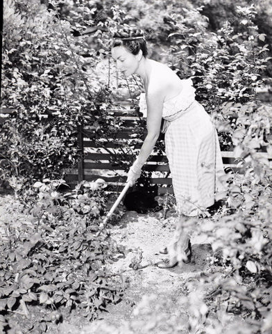 Agnes Moorehead tending garden in her back yard 8b20-1780