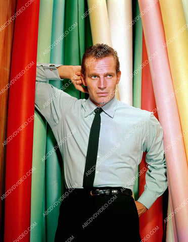 great Charlton Heston portrait 8b20-17911