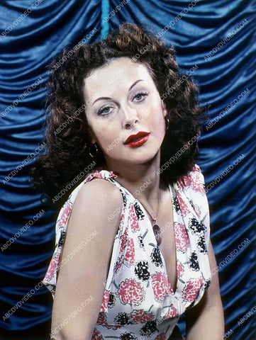 Hedy Lamarr portrait 8b20-18044