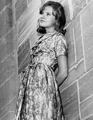 great Hayley Mills portrait 8b20-18095