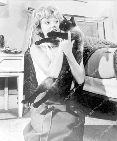 Hayley Mills with her cat 8b20-18096