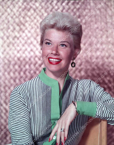 bautiful Doris Day portrait 8b20-18206