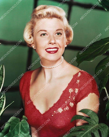 bautiful Doris Day portrait 8b20-18208