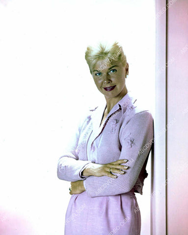 Doris Day portrait 8b20-18219