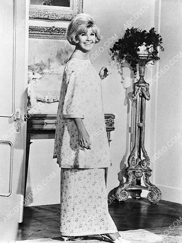 Doris Day portrait 8b20-18221