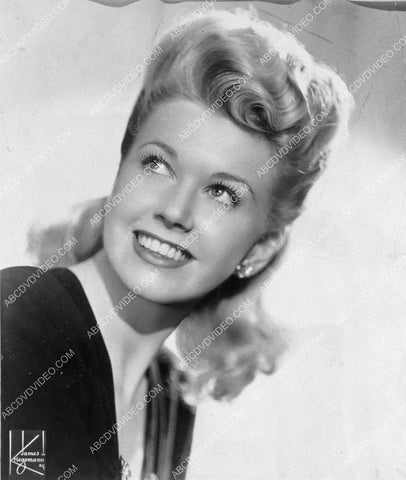 beautiful Doris Day portrait 8b20-18237