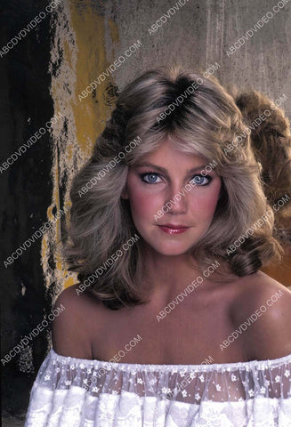 beautiful Heather Locklear portrait 8b20-18420