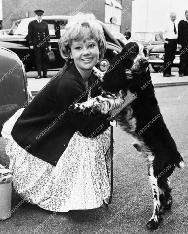 Hayley Mills posing with her dog 8b20-18427