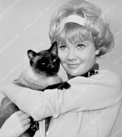 Hayley Mills and her cat 8b20-18433