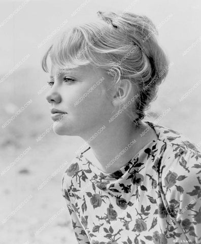 beautiful Hayley Mills portrait 8b20-18437