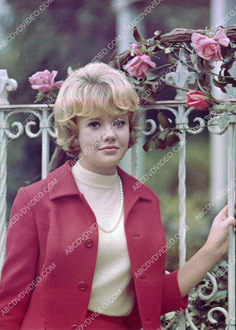 Hayley Mills outdoors portrait 8b20-18462