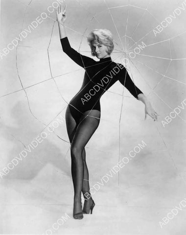 shapely Martha Hyer in dance leotards behind the spider web 8b20-18781