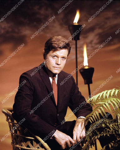 great Jack Lord portrait TV Hawaii 5-O 8b20-19146