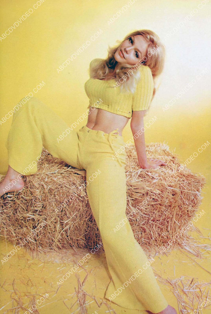 fantastic Karen Jensen in the hay 8b20-19193 – ABCDVDVIDEO
