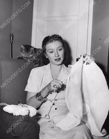 Amanda Blake does a little knitting while her cat looks on 8b20-1980