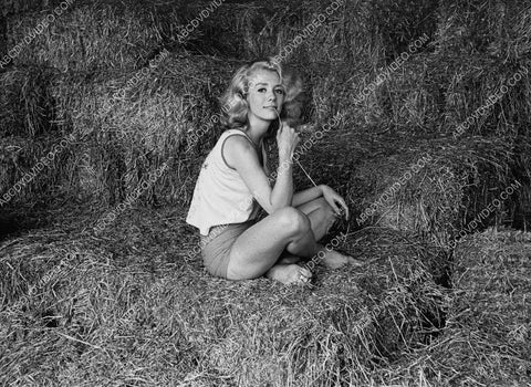 beautiful Inger Stevens sitting in the hay 8b20-20139