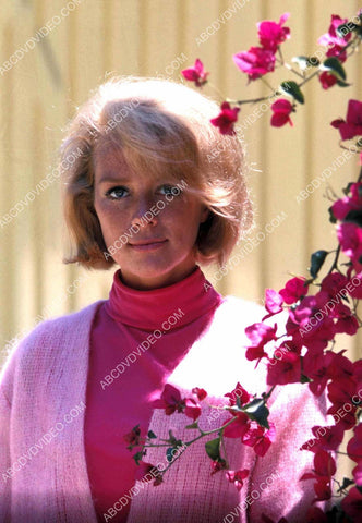 great Inger Stevens portrait 8b20-20141