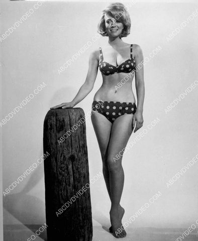 Inger Stevens and a polka dot bikini 8b20-20143