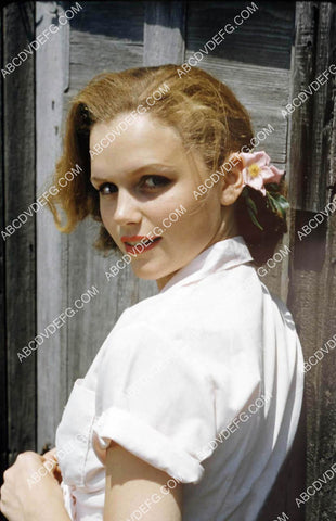 beautiful Lee Remick in the outdoors 8b20-20537