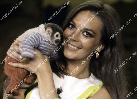 Natalie Wood and a cute little monkey in a sweater 8b20-20634