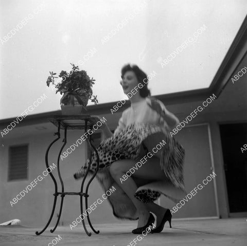 Natalie Wood skirt gets blown up in the wind 8b20-20637