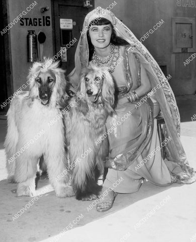 candid Rhonda Fleming w her dogs 8b20-20720