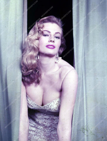 busty Anita Ekberg portrait 8b20-2214