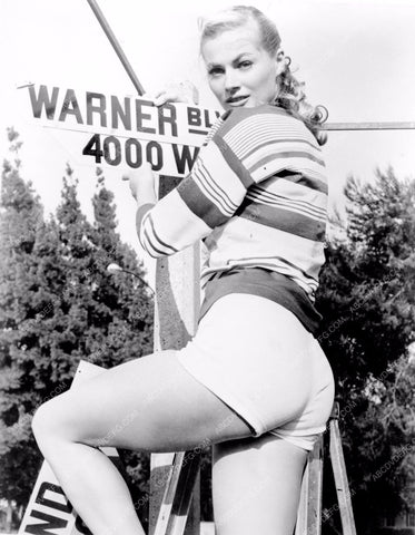 Anita Ekberg in shorts up on a ladder 8b20-2234