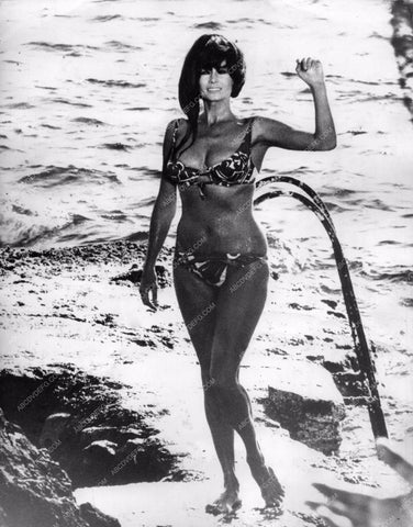 Anita Ekberg in bikini getting out of the ocean 8b20-2235
