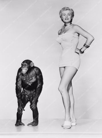 swimwear contest the monkey of Anita Ekberg 8b20-2244