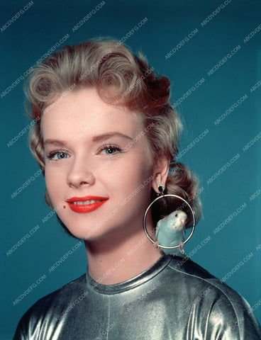 gorgeous Anne Francis with parakeet in hoop earring 8b20-2496