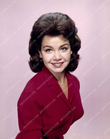 beautiful Annette Funicello portrait 8b20-2902