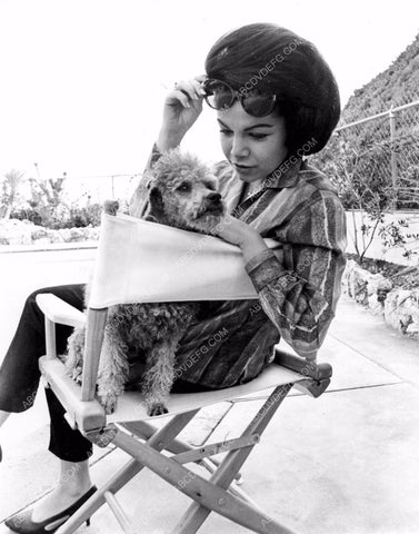 Annette Funicello behind the scenes with her cute dog 8b20-2908