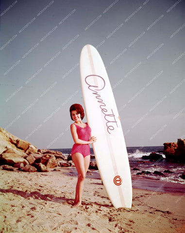 super cool shot Annette Funicello and her custom surfboard 8b20-2911