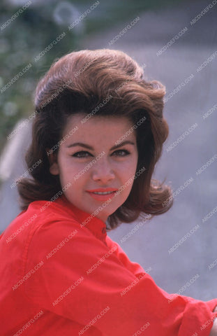 beautiful Annette Funicello portrait 8b20-2921