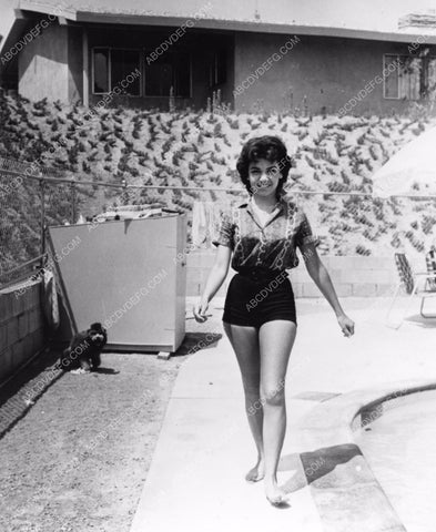 Annette Funicello cute in her shorts out by the swimming pool 8b20-2925
