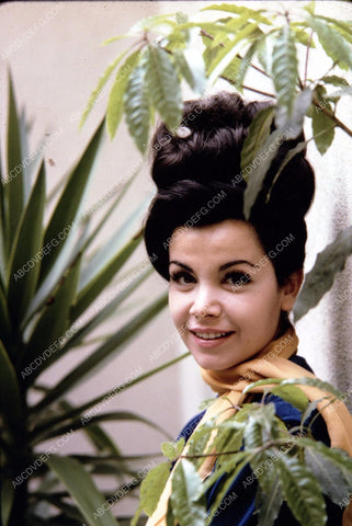 beautiful Annette Funicello portrait 8b20-2940