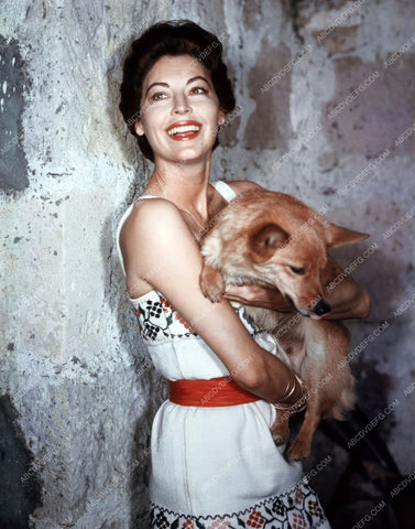 Ava Gardner loves her dog like the rest of us do 8b20-3111