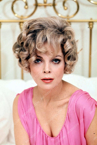 beautiful Barbara Bain portrait 8b20-3160