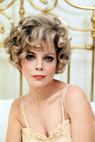 beautiful Barbara Bain portrait 8b20-3182