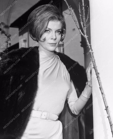 Barbara Bain in fur portrait 8b20-3195