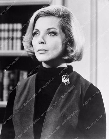 beautiful Barbara Bain portrait 8b20-3197