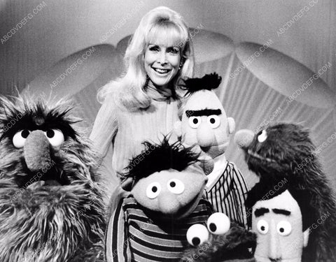 Barbara Eden makes guest appearance on TV The Muppet Show dp-3265