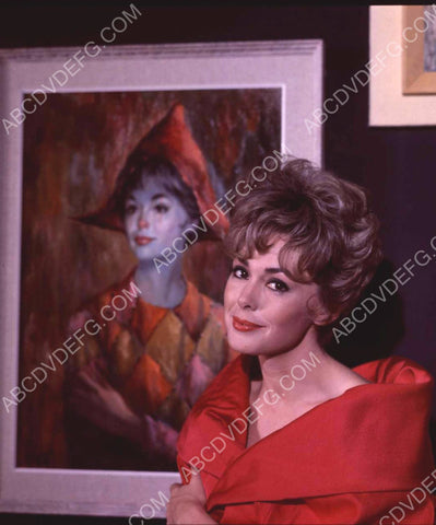 beautiful Barbara Rush portrait 8b20-3424