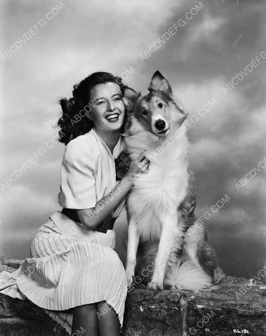 Barbara Stanwyck and Lassie pose for portrait together 8b20-3460